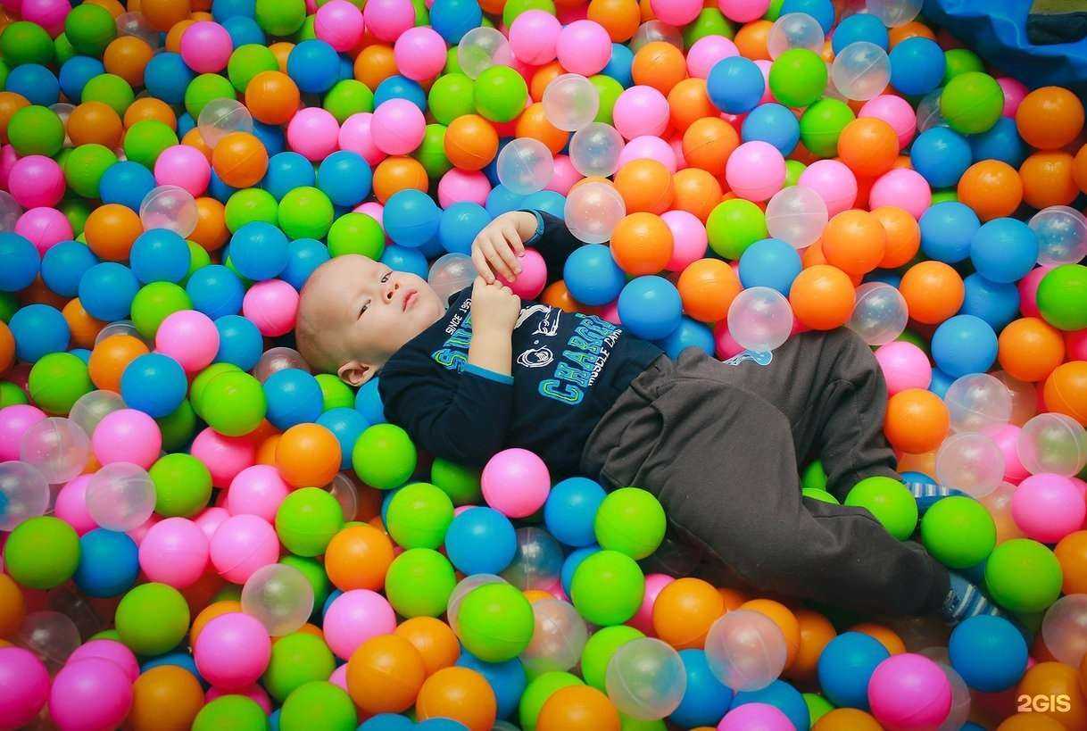 Отзывы на компанию Веселый лис в г. Новосибирск c фото