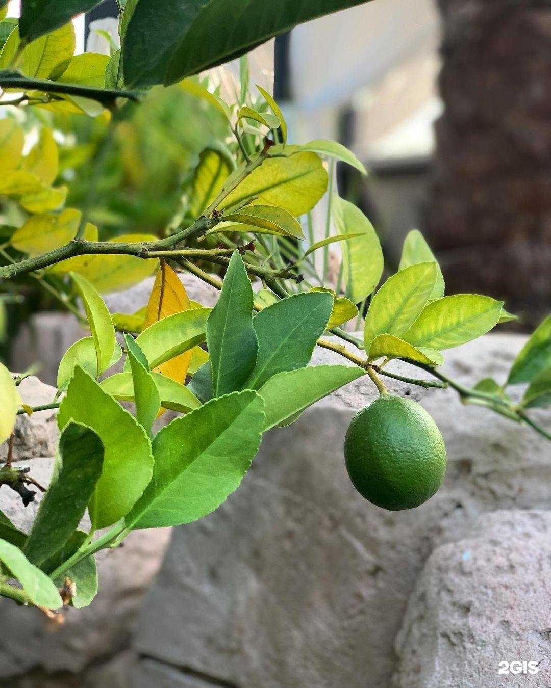 Отзывы на компанию Время путешествовать в Уфе c фото