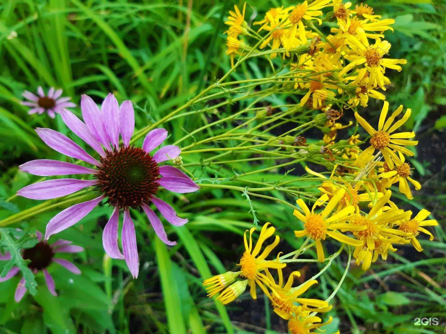 Отзывы на компанию Адвокатский кабинет Муртакова В.Н. в Ульяновске c фото