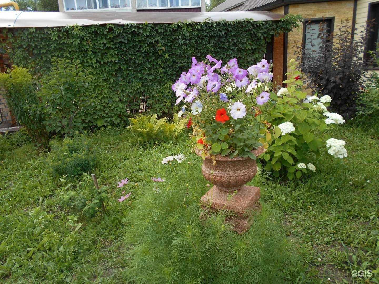 Отзывы на компанию Август в Челябинске c фото