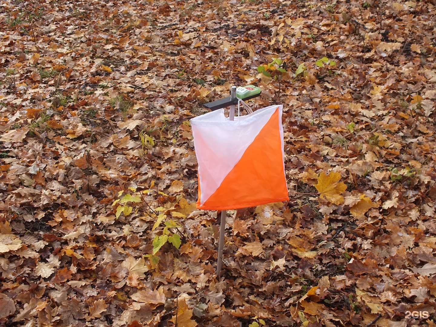 Отзывы на компанию Контур в г. Самара c фото