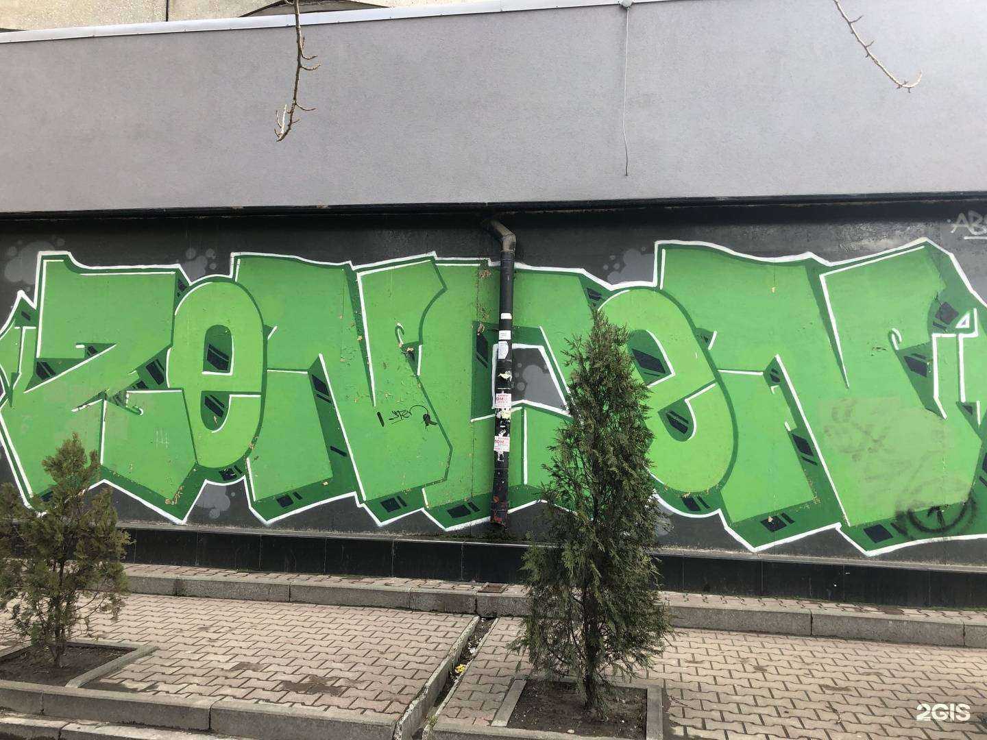 Отзывы на компанию Социальная Аптека в Ростове-на-Дону c фото - фотография 2 из 2