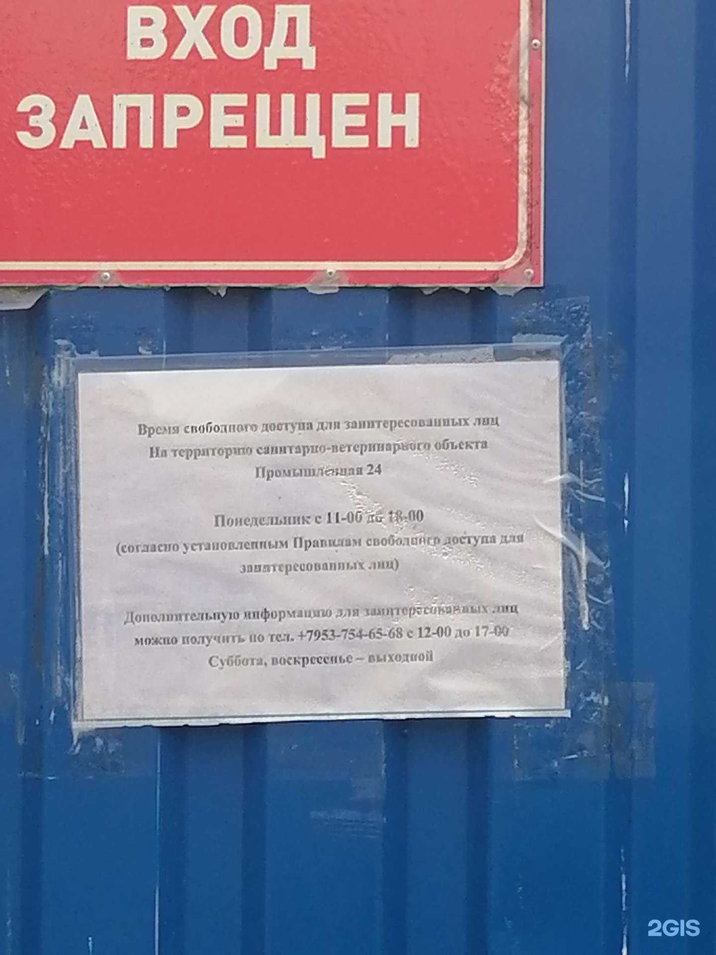 Отзывы на компанию Мокрый нос в г. Апатиты c фото