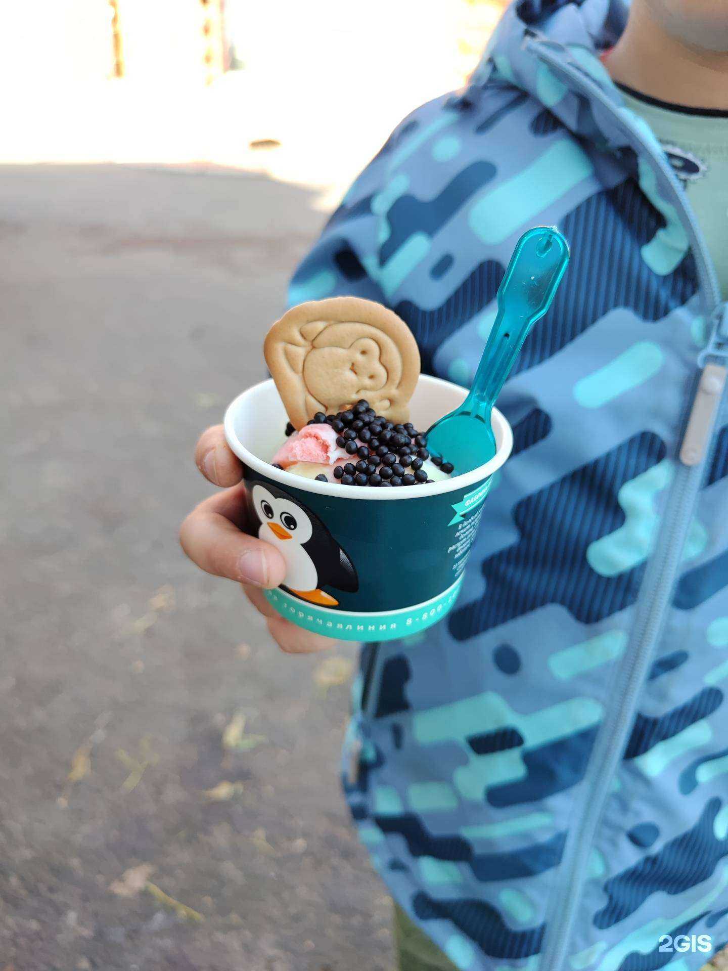 Отзывы на компанию 33 пингвина в Томске c фото