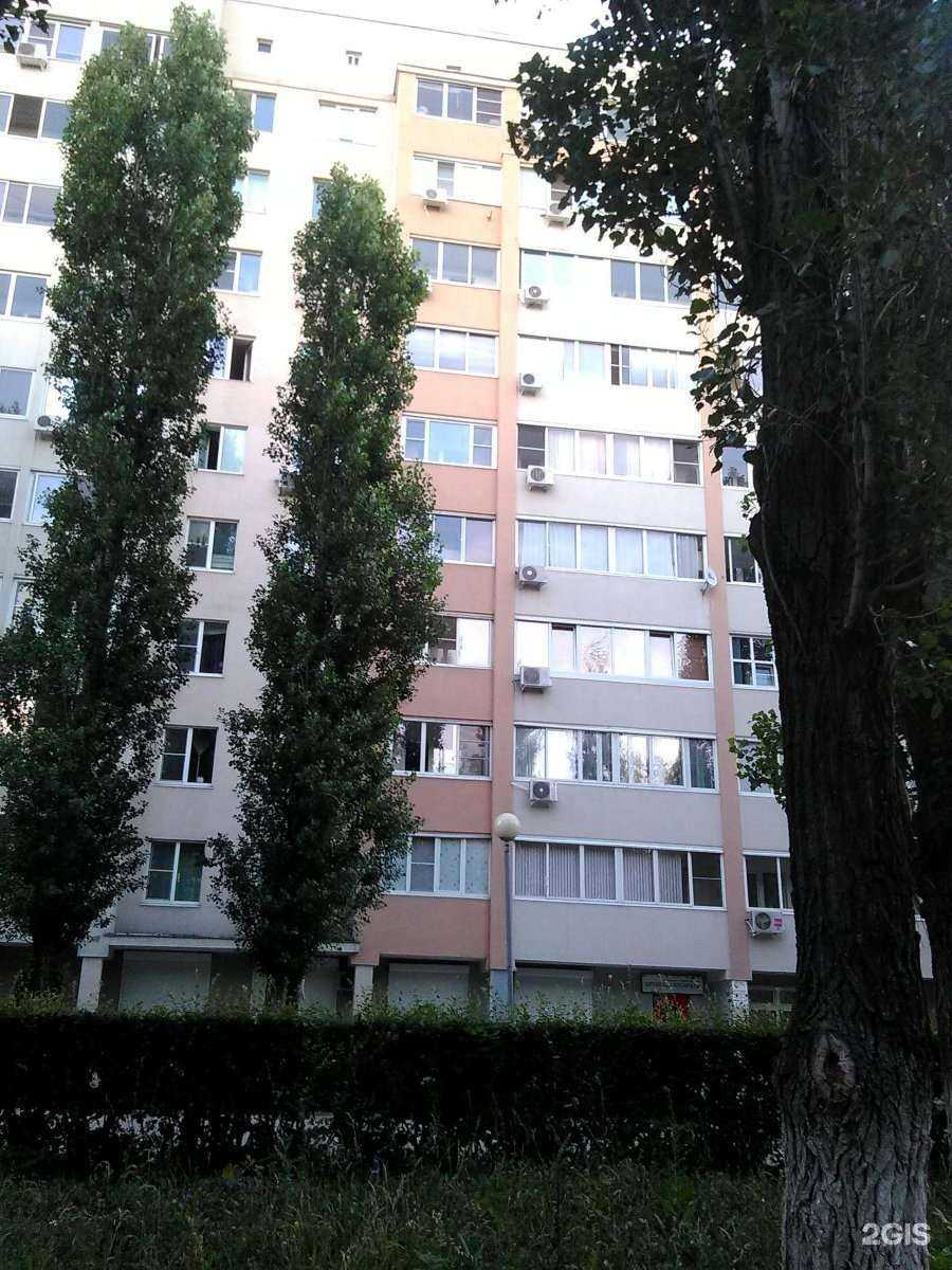 Отзывы на компанию Гармоника в Тольятти c фото - фотография 2 из 2