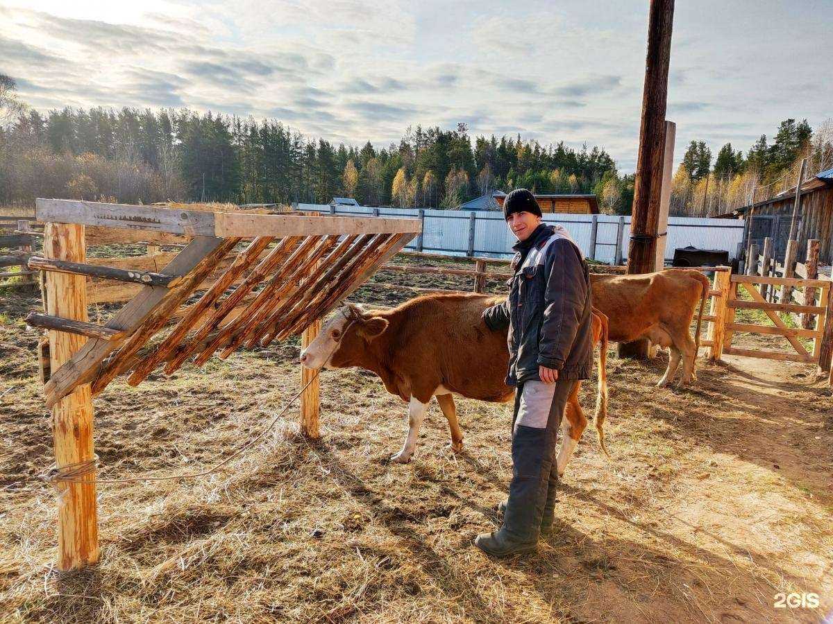 Отзывы на компанию Арго в г. Киселёвск c фото