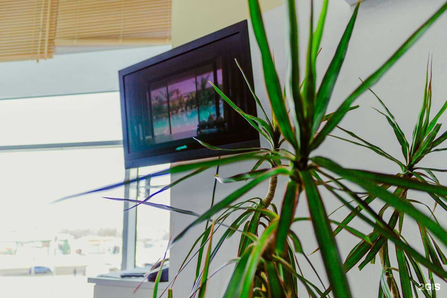 Отзывы на компанию Green Тур в г. Киров c фото