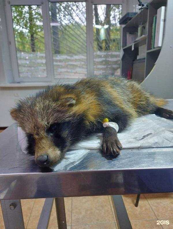 Отзывы на компанию ВыЗов в г. Клин c фото