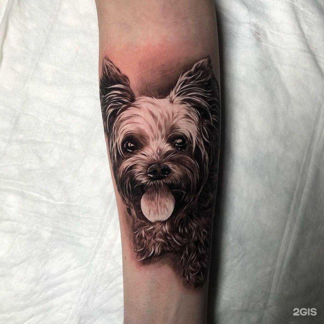 Отзывы на компанию Хоттабыч в г. Ростов-на-Дону c фото