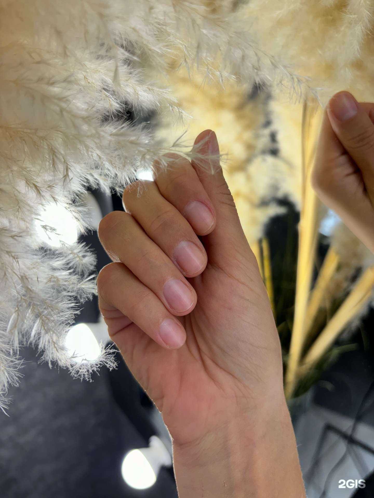 Отзывы на компанию Золотой Лотос в Сочи c фото