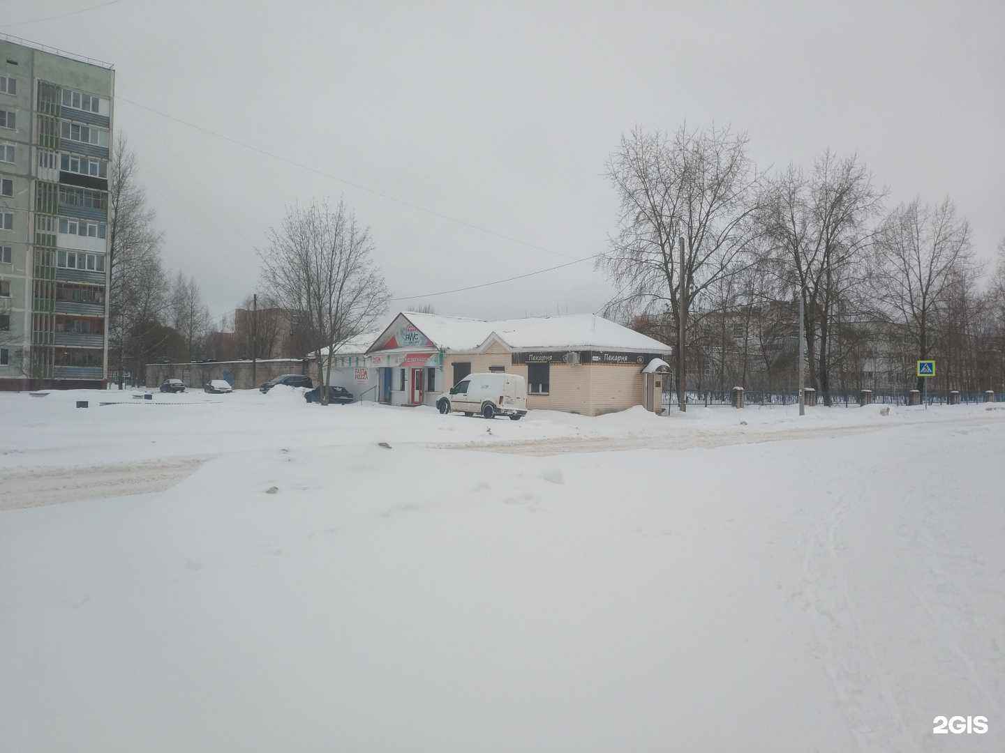 Отзывы на компанию Ромашка в г. Удомля c фото