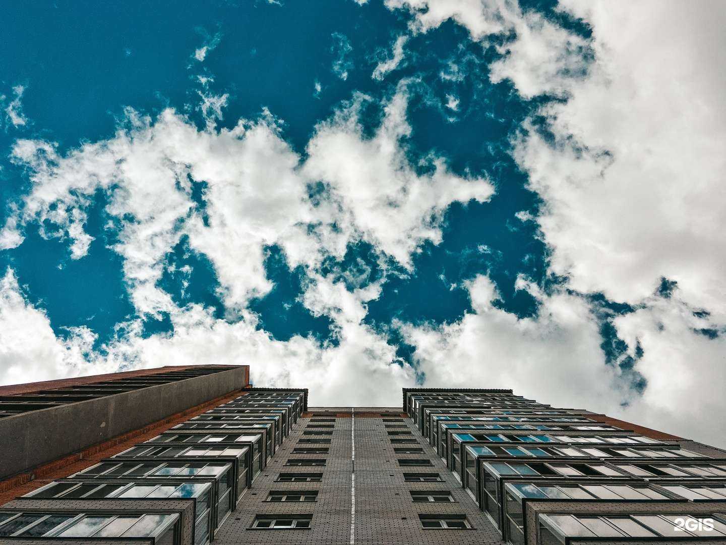 Отзывы на компанию Багира в Чите c фото - фотография 2 из 2