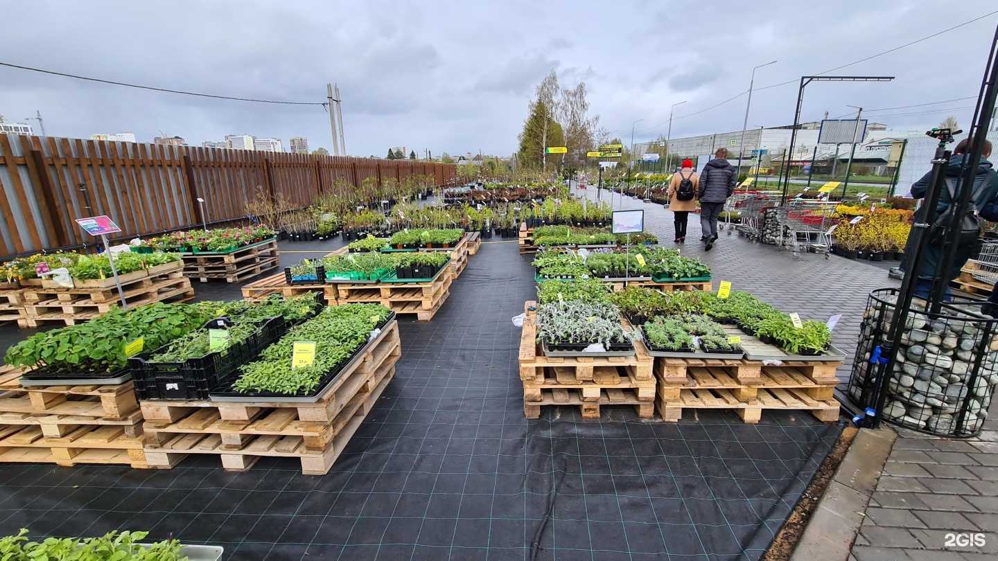 Отзывы на компанию Первоцвет в Кирове c фото