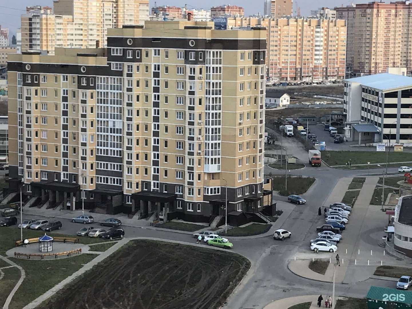 Отзывы на компанию Бегемотя в Липецке c фото - фотография 2 из 2