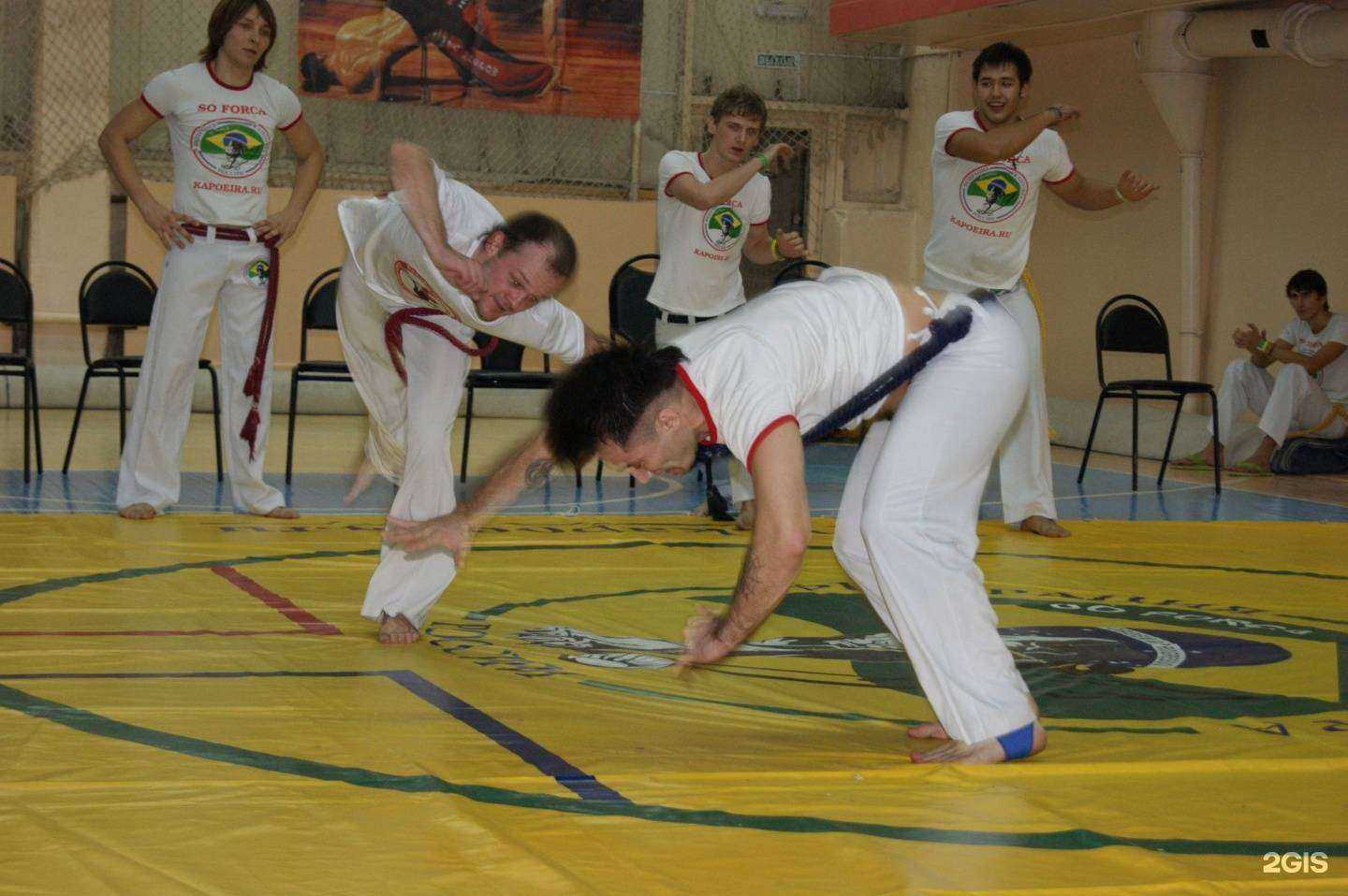 Отзывы на компанию Portao g Ouro в г. Владимир c фото