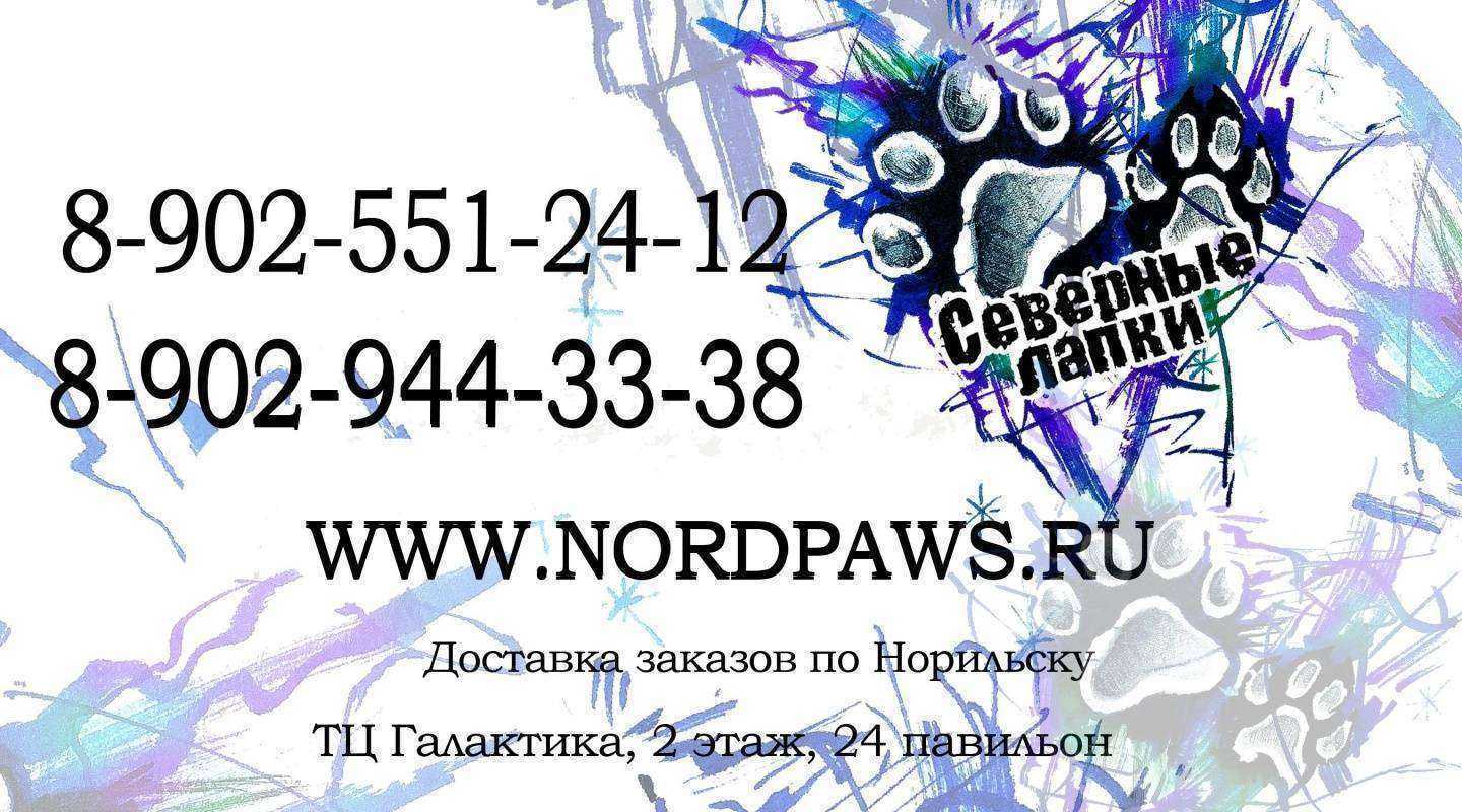 Отзывы на компанию Северные лапки в Норильске c фото