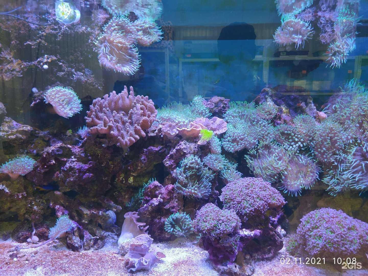 Отзывы на компанию Зоомагазин в Пятигорске c фото