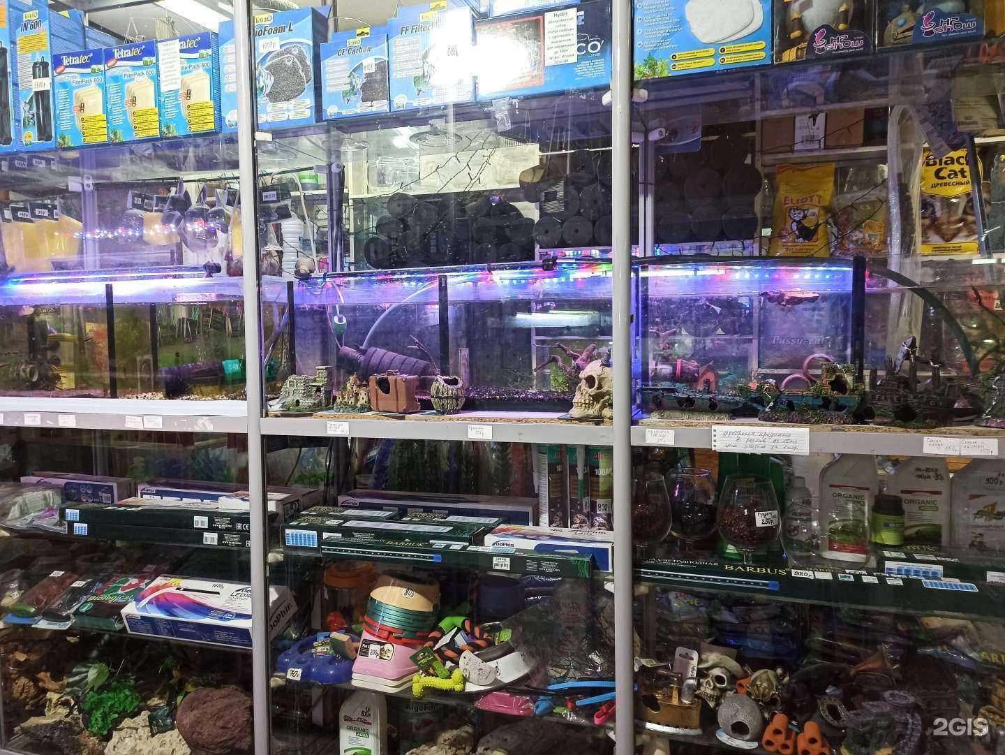 Отзывы на компанию Золотая рыбка в Мурманске c фото