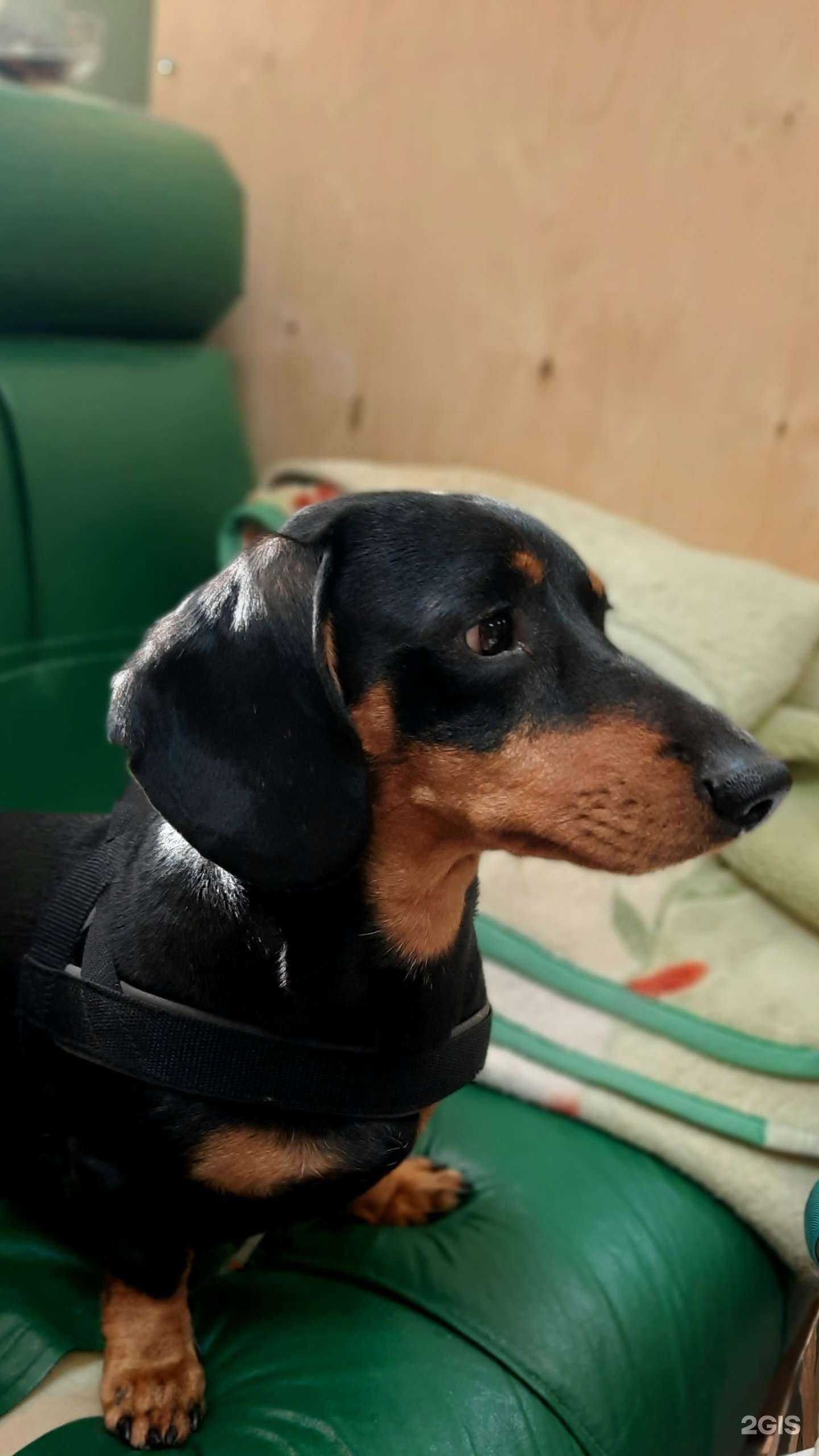 Отзывы на компанию Мир, животные и растения в г. Тюмень c фото