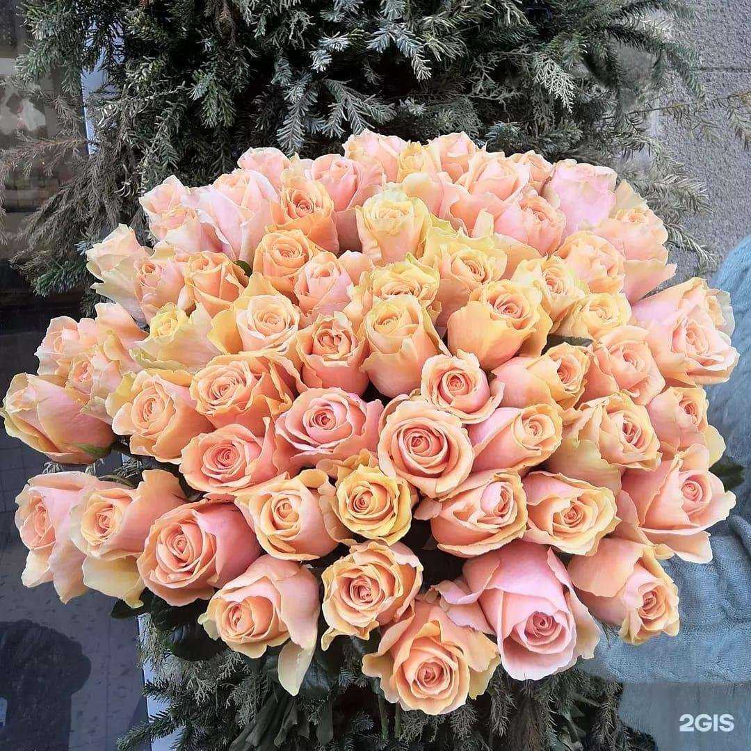 Отзывы на компанию В росе в Ставрополе c фото