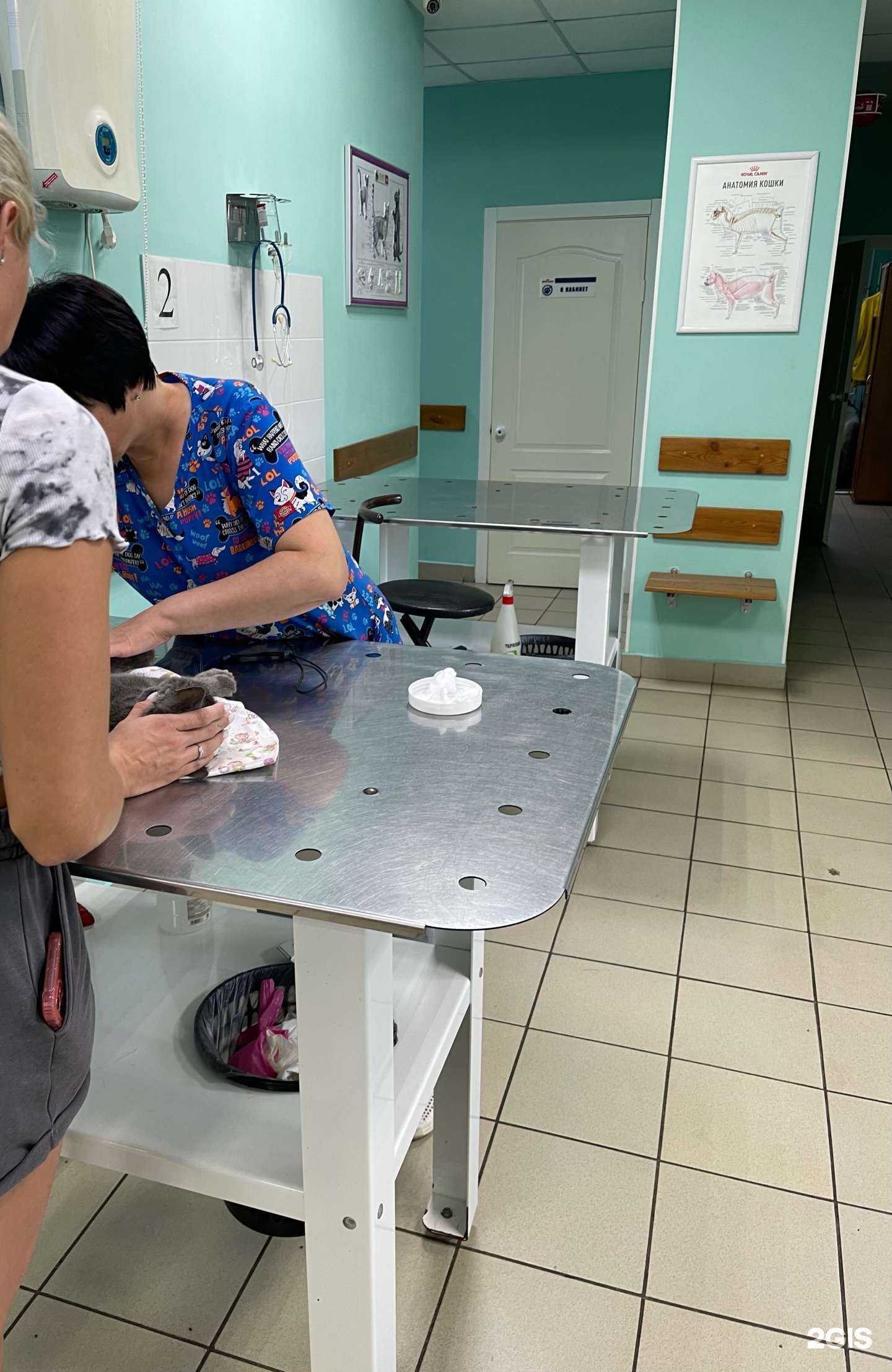 Отзывы на компанию ПроВет в г. Красноярск c фото