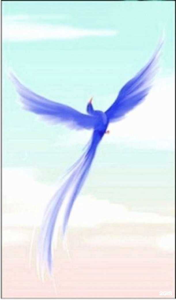 Отзывы на компанию Спорина в г. Омск c фото