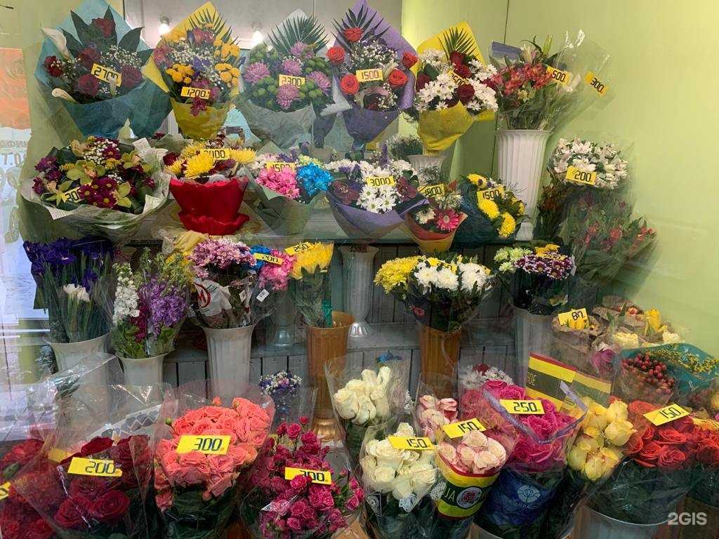 Отзывы на компанию Незабудка в Ноябрьске c фото