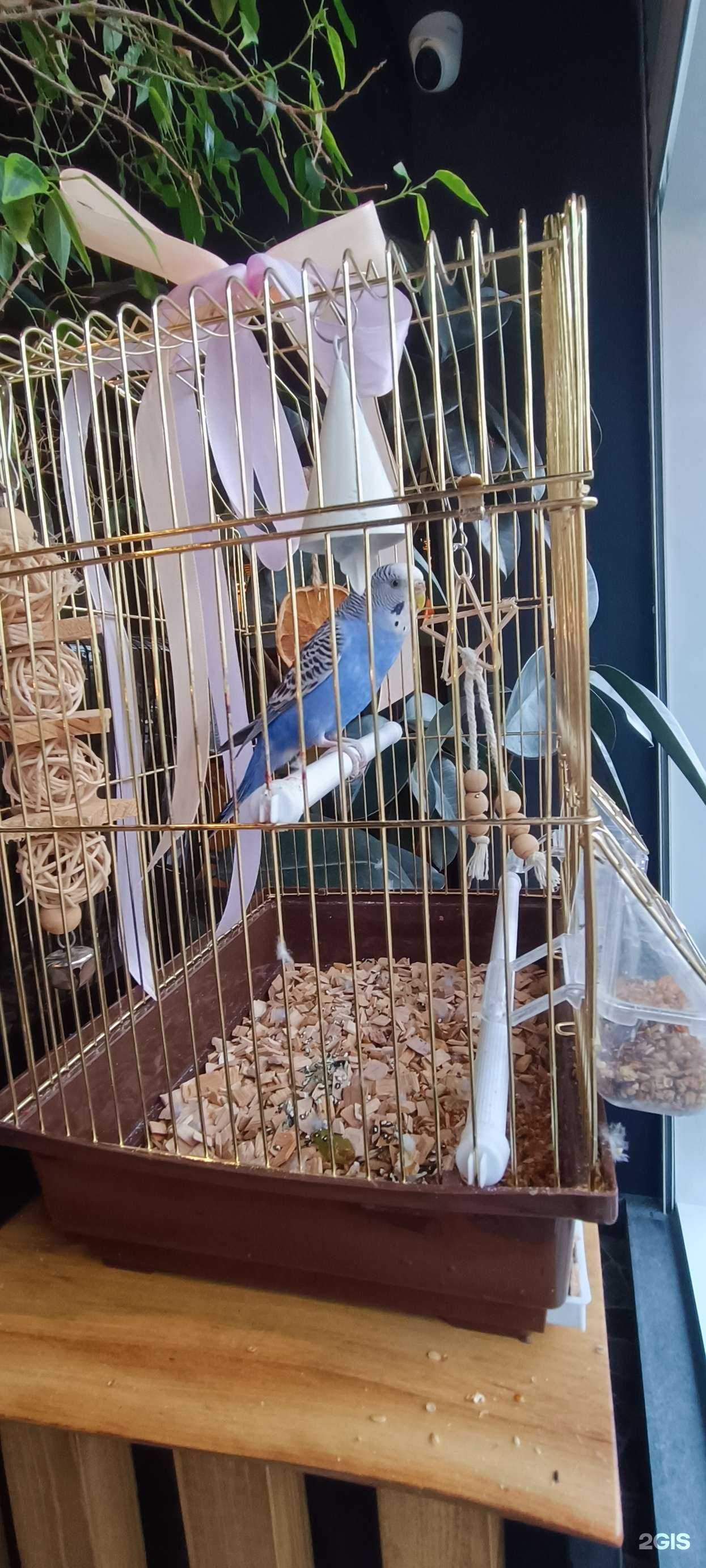 Отзывы на компанию Компромисс в г. Геленджик c фото