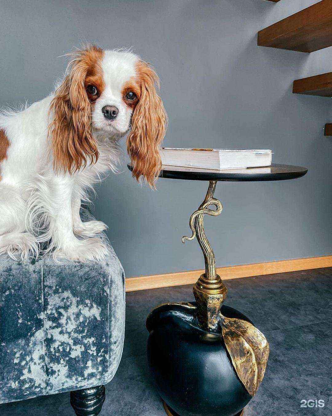 Отзывы на компанию Bogacho в г. Липецк c фото