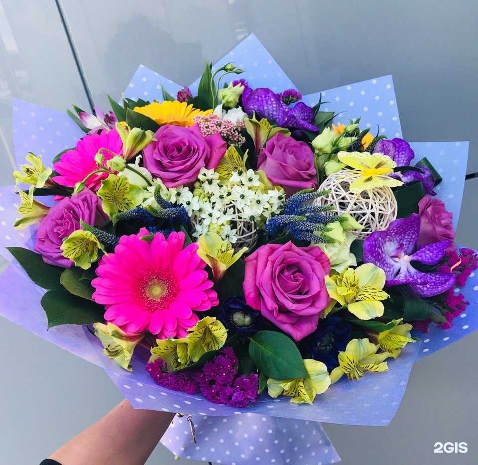 Отзывы на компанию Макси Флора в Кирове c фото