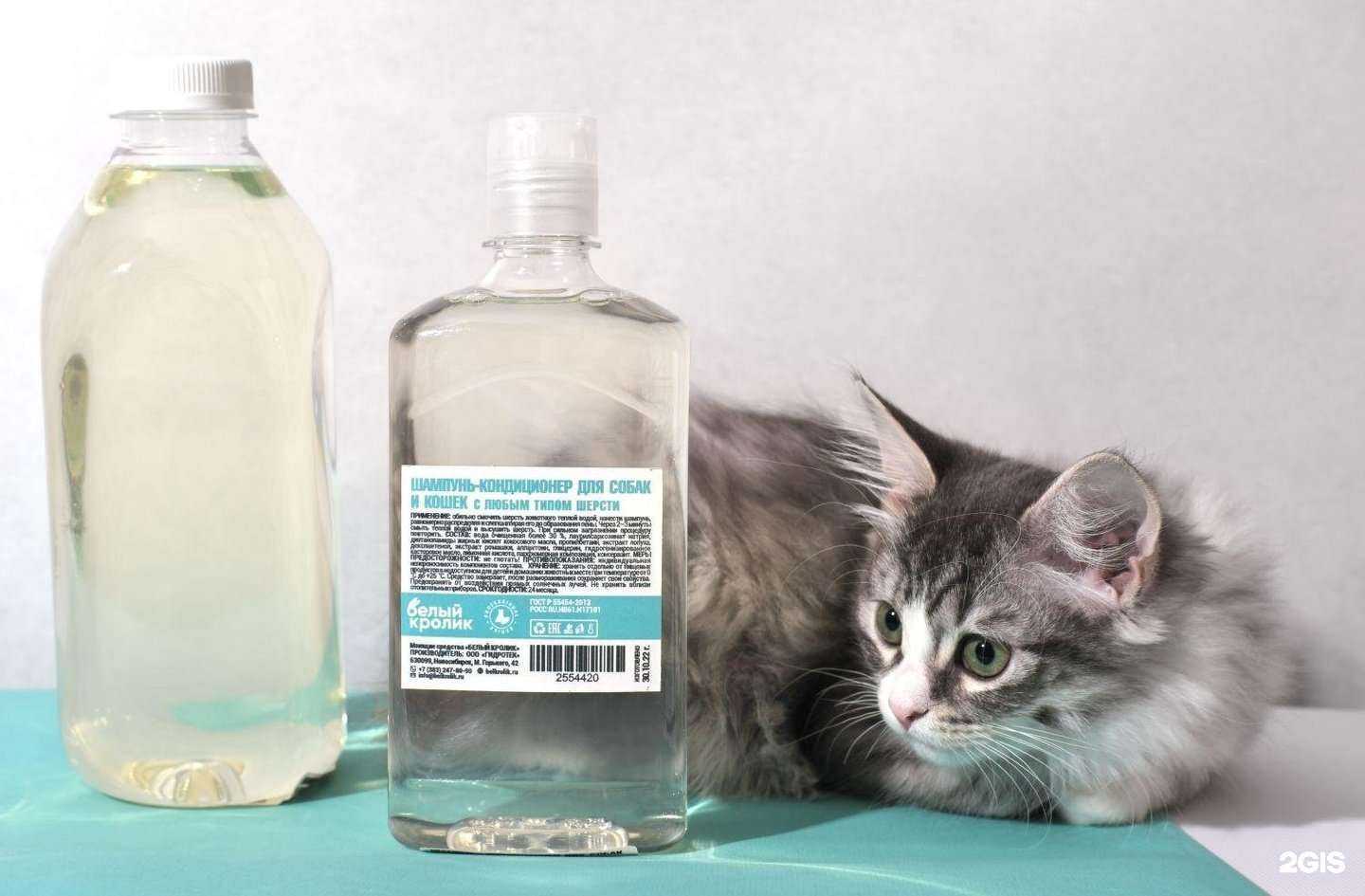 Отзывы на компанию Белый кролик в Новосибирске c фото