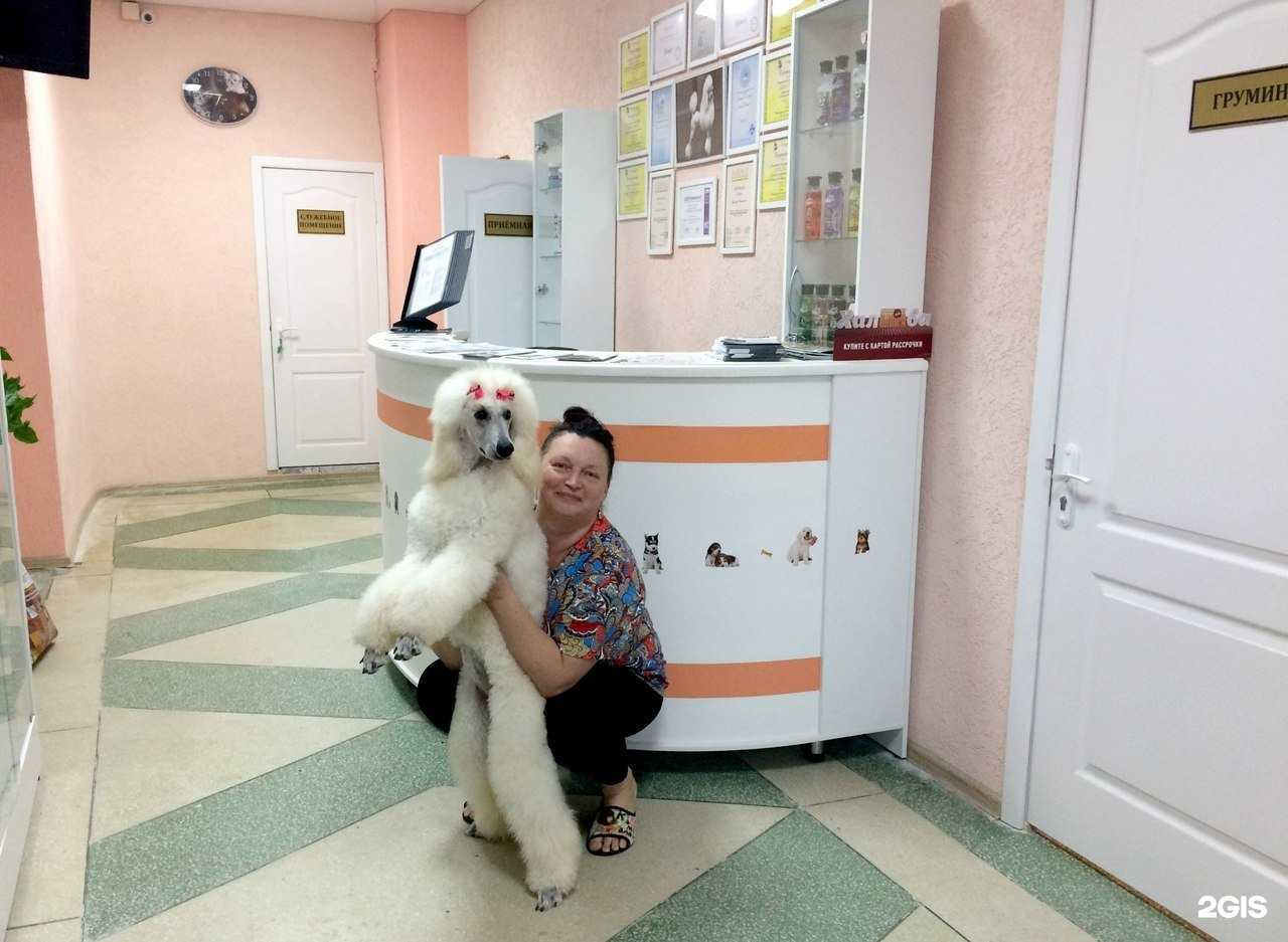 Отзывы на компанию Вет эксперт в Энгельсе c фото