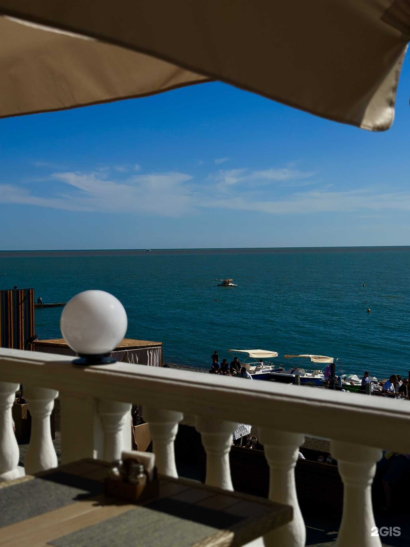 Отзывы на компанию Фламинго в Сочи c фото