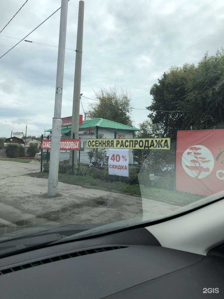 Отзывы на компанию Садовый центр Веры Глуховой в Самаре c фото - фотография 2 из 2
