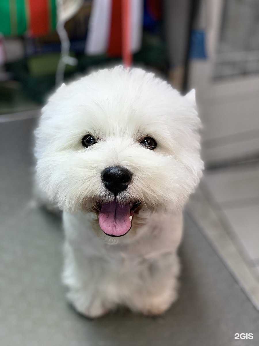 Отзывы на компанию Прима в г. Калининград c фото