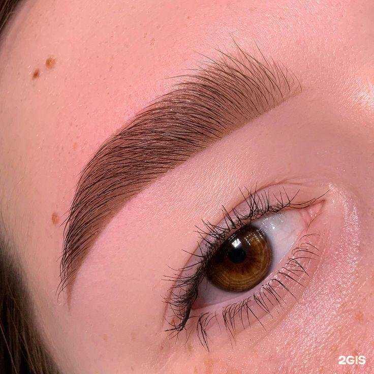 Отзывы на компанию Amri в г. Сургут c фото