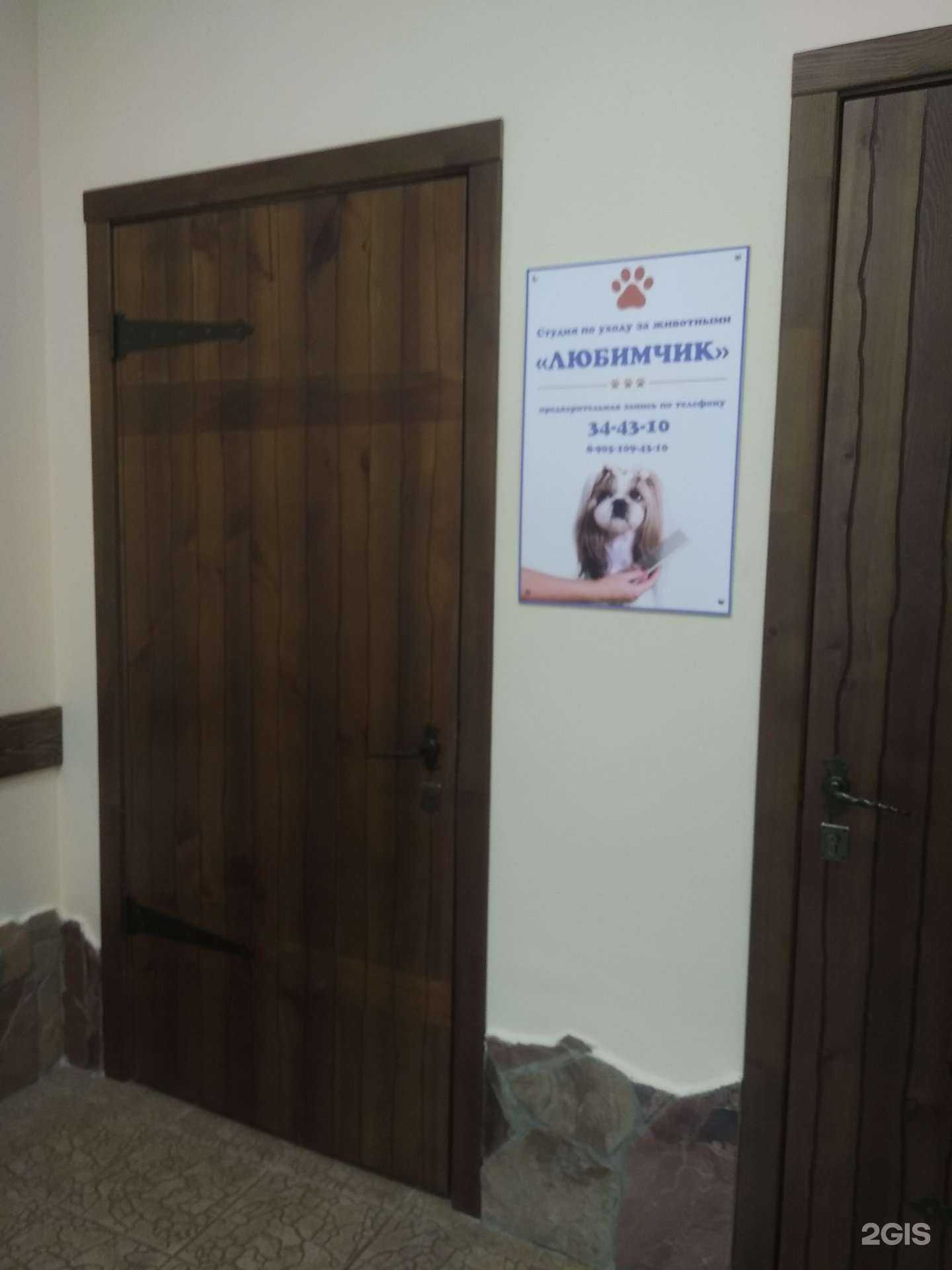 Отзывы на компанию Любимчик в г. Иваново c фото