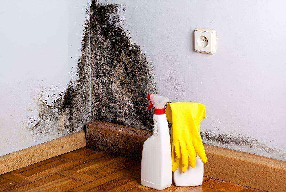 Отзывы на компанию Декоративные краски в г. Барнаул c фото