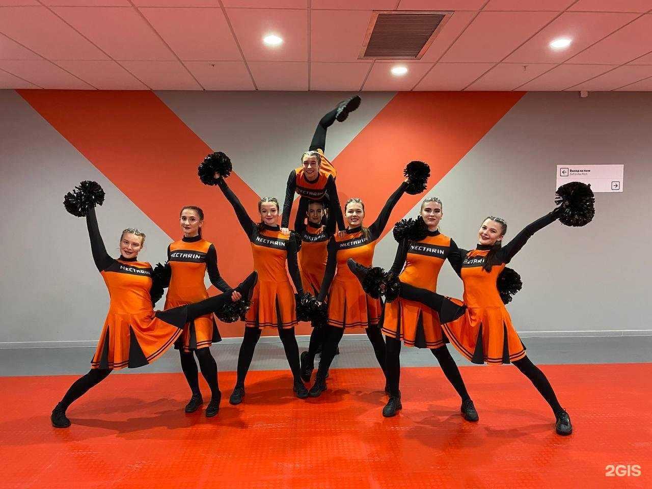 Отзывы на компанию Enzhi Crew в Саранске c фото