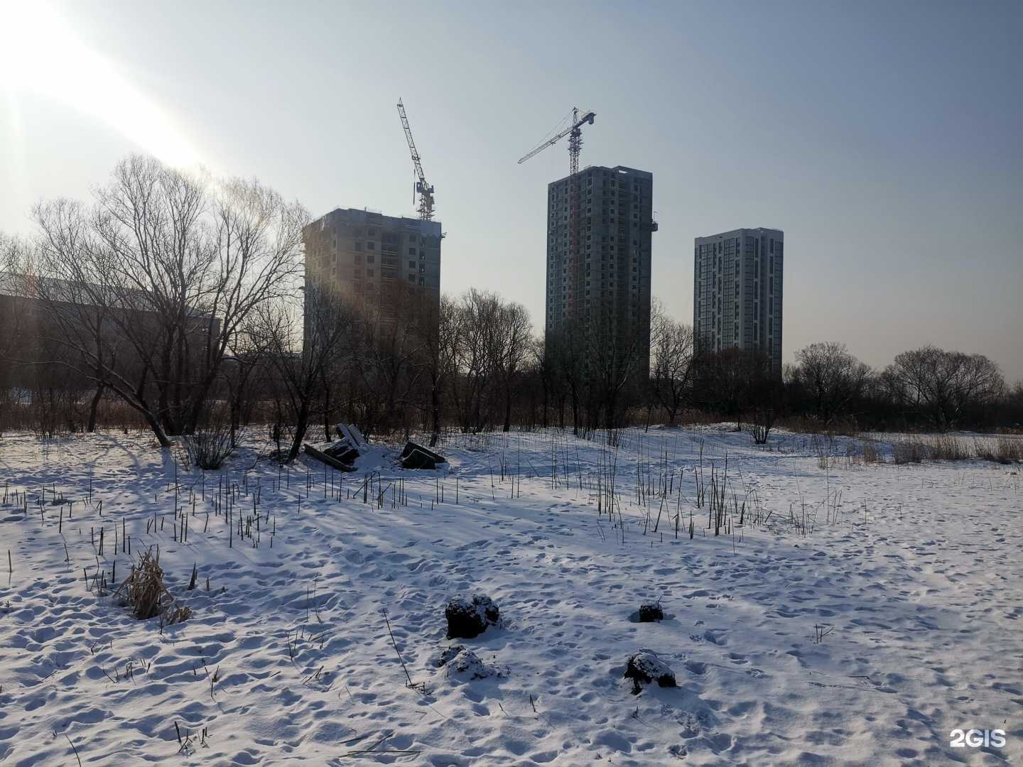 Отзывы на компанию Action в Уссурийске c фото - фотография 2 из 2