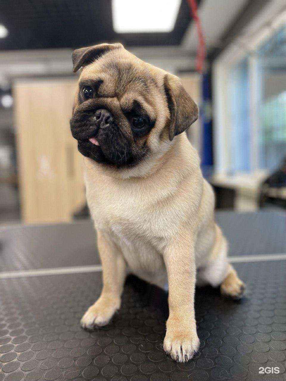 Отзывы на компанию Tefa в Улан-Удэ c фото