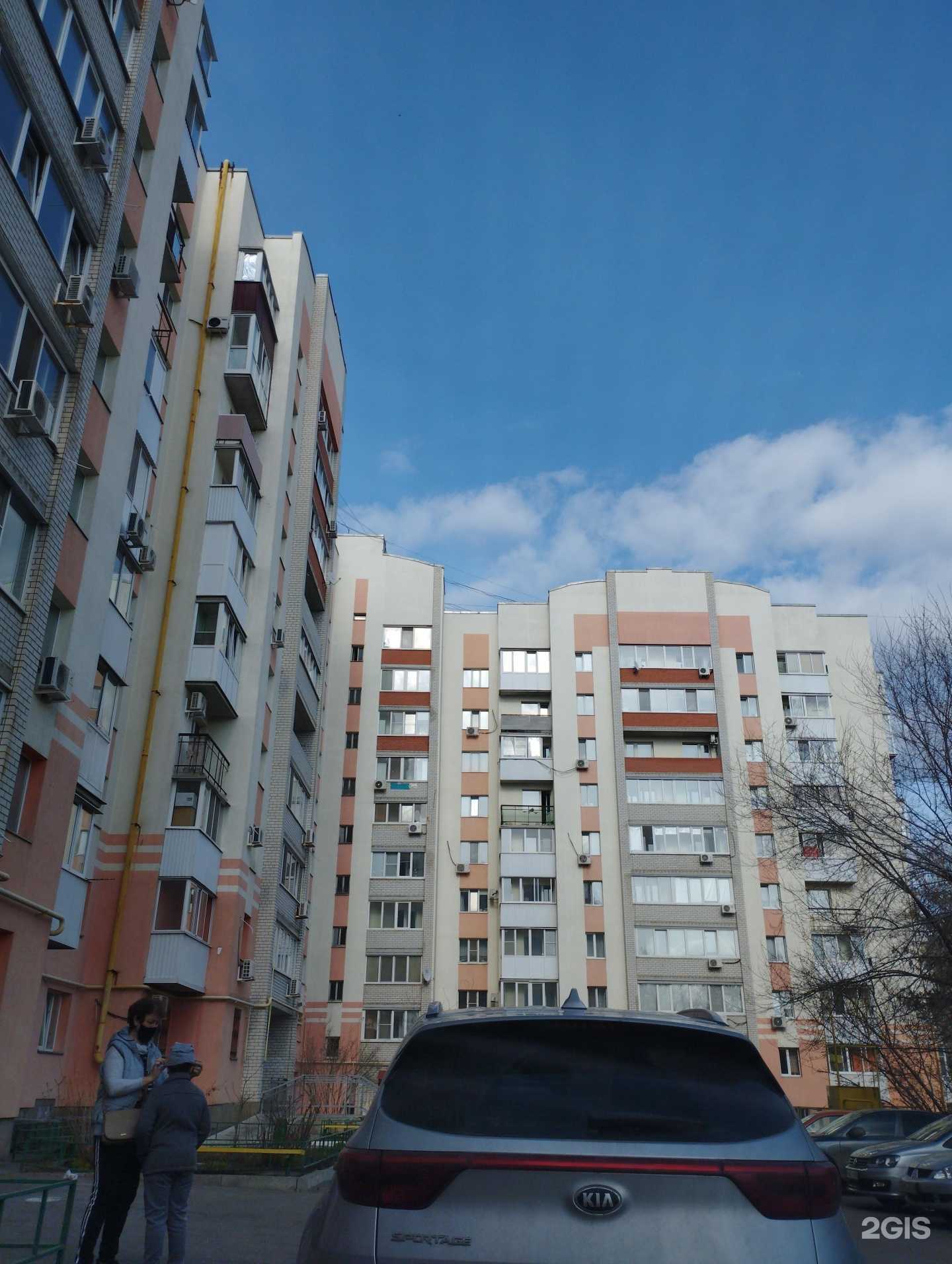 Отзывы на компанию Карнелия в Саратове c фото