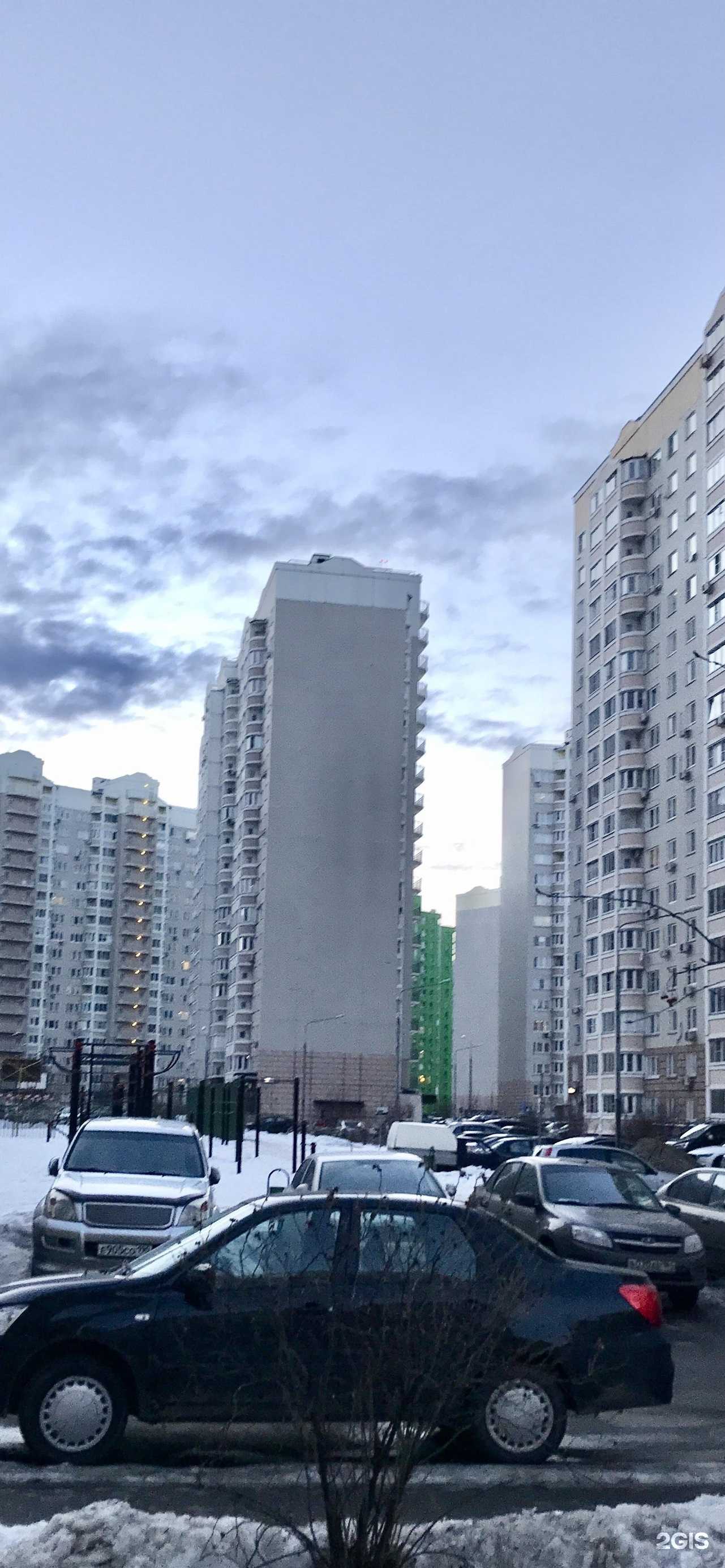 Отзывы на компанию Сила Сиама в Видном c фото - фотография 2 из 2