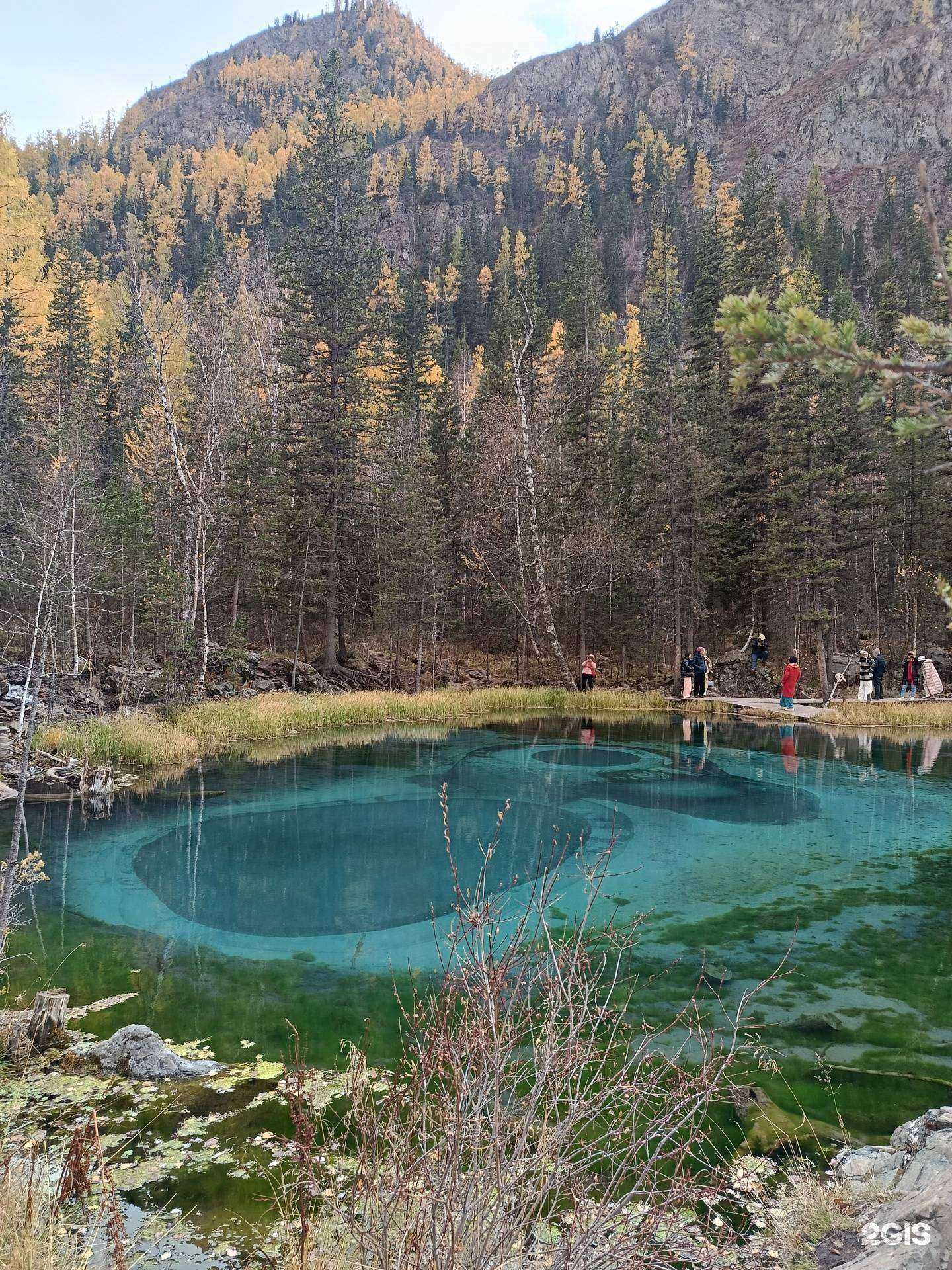 Отзывы на компанию Центр Туризма и Отдыха в Бийске c фото