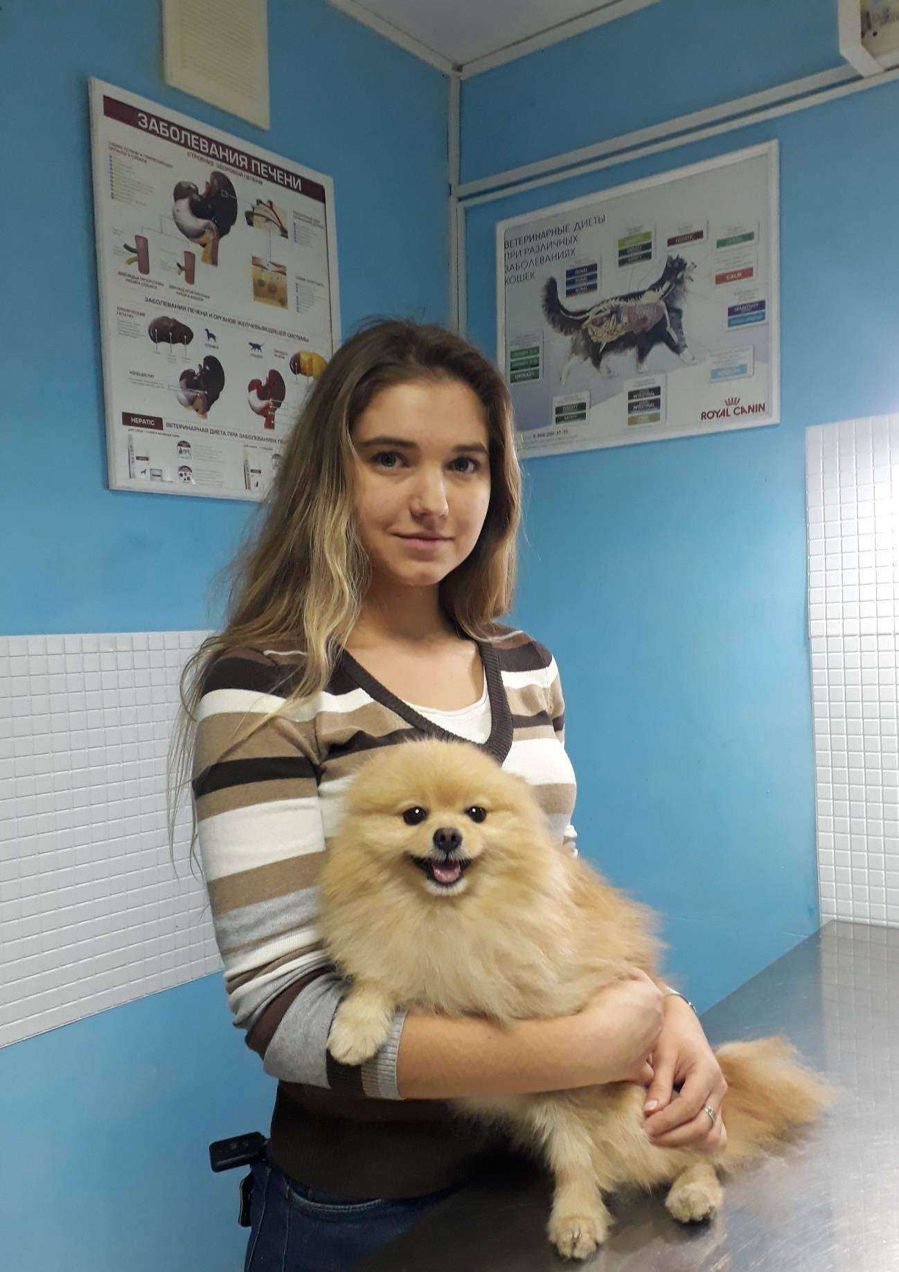 Отзывы на компанию Ветхаус в г. Уфа c фото