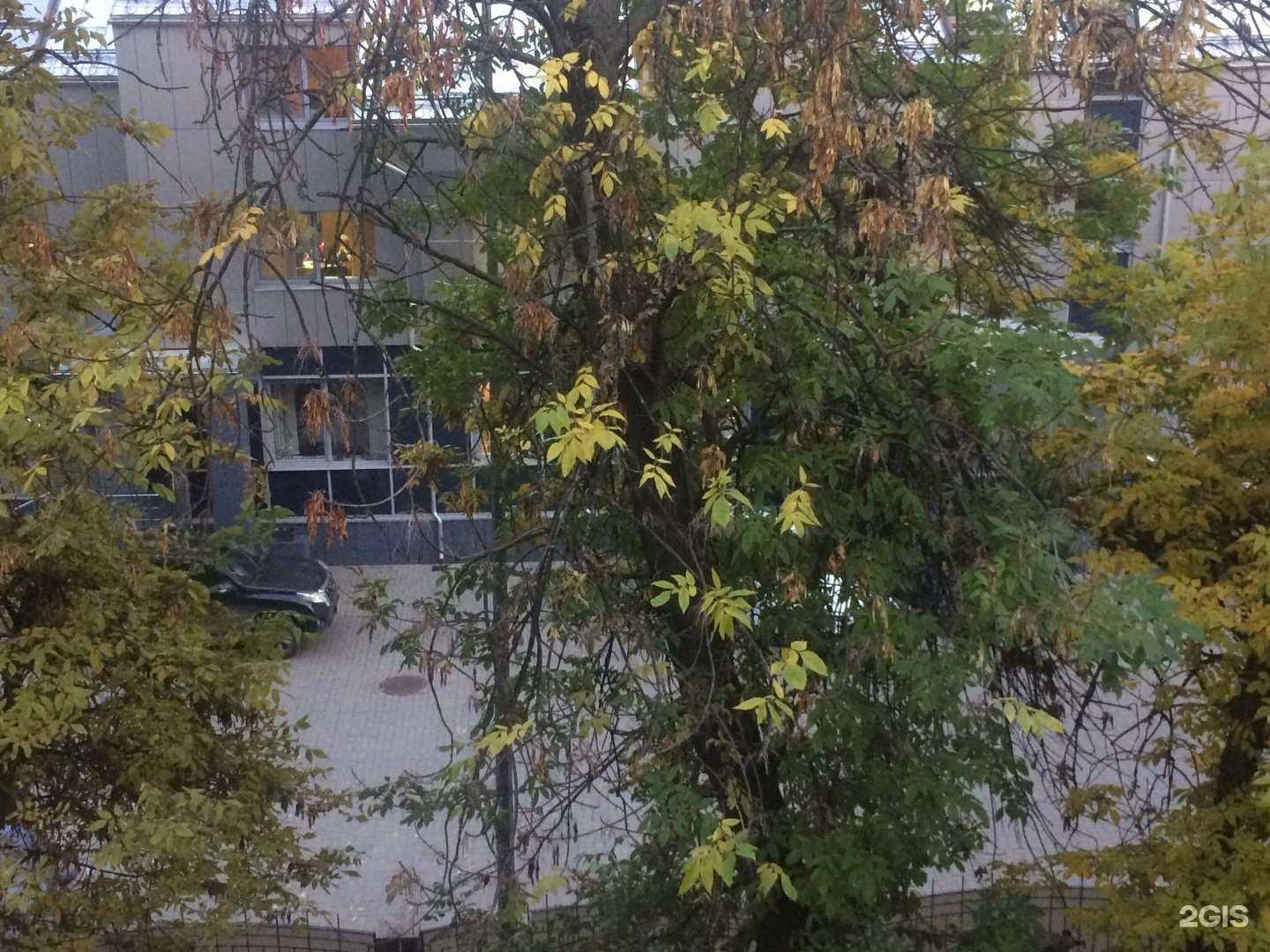 Отзывы на компанию 5Pi studio в Рязани c фото