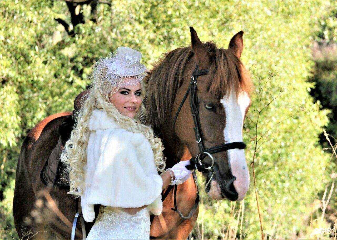 Отзывы на компанию Стриж в Сыктывкаре c фото