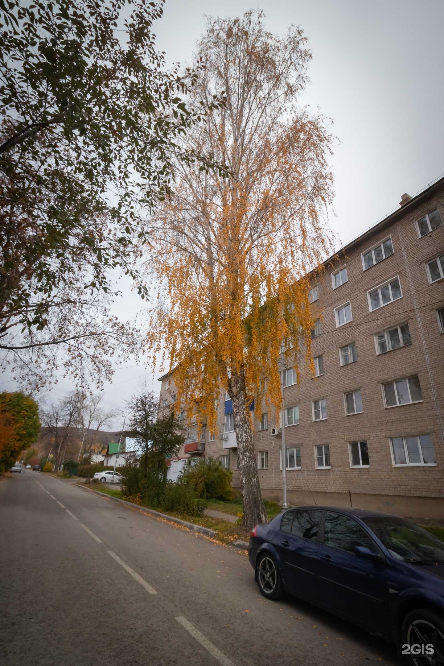 Отзывы на компанию Авангард в Жигулевске c фото - фотография 2 из 2