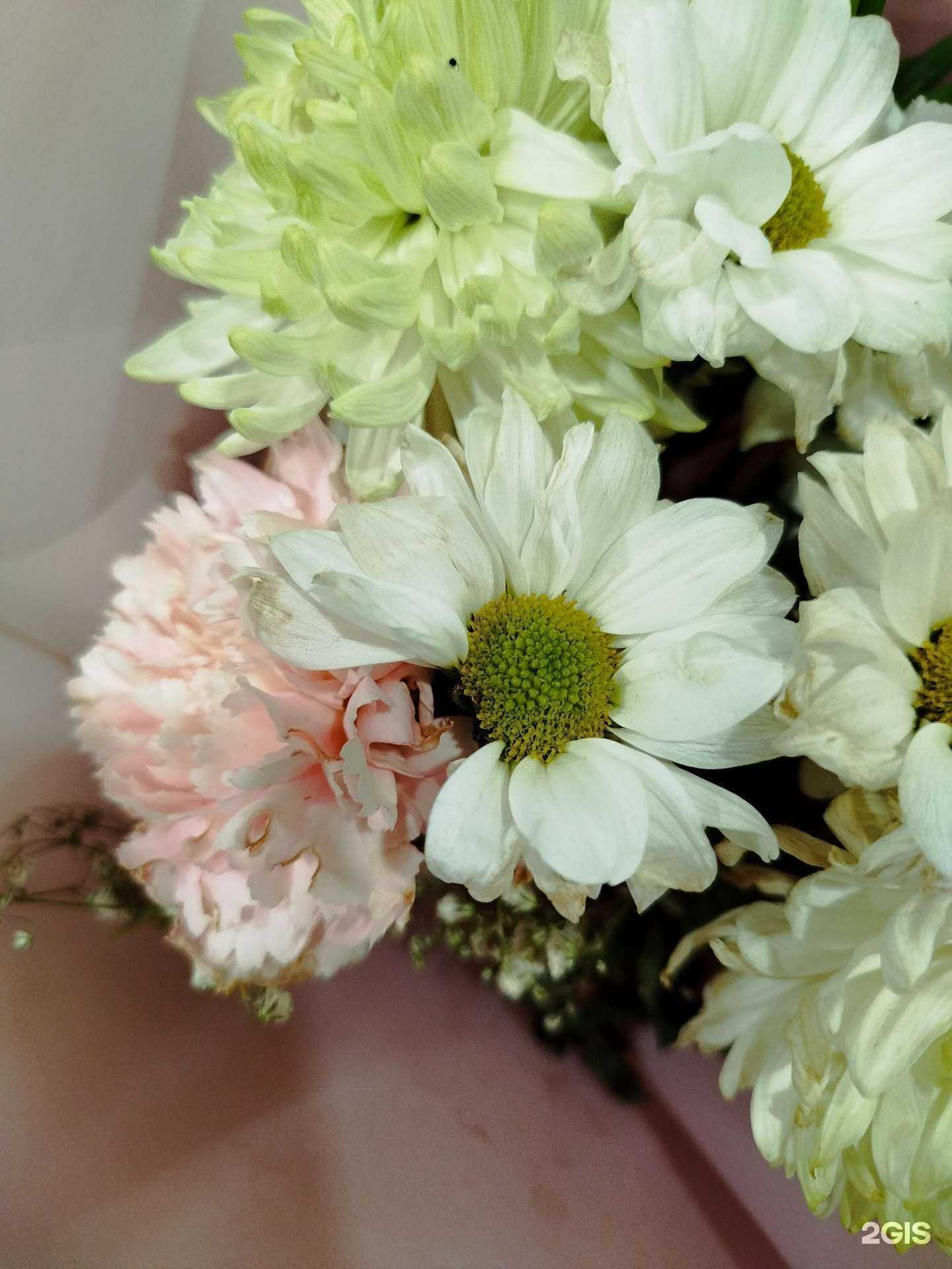 Отзывы на компанию Цветущий рай в Набережных Челнах c фото