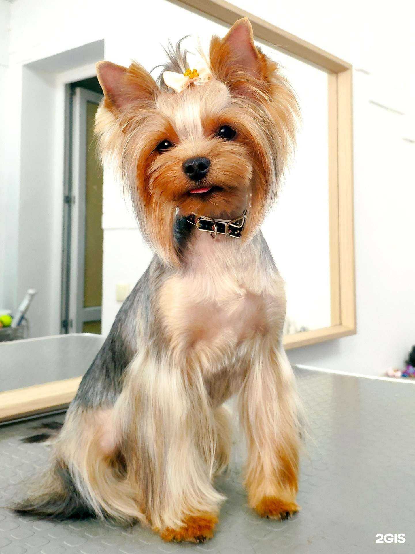 Отзывы на компанию Без меха в Краснодаре c фото